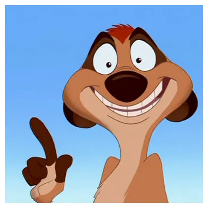 Timon - Timon Photo (26790317) - Fanpop