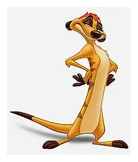 Timon - The Lion King Wiki