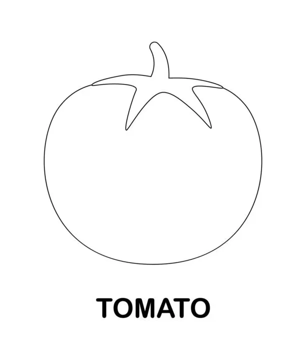 Tomato coloring page vector art, icons, and graphics for
