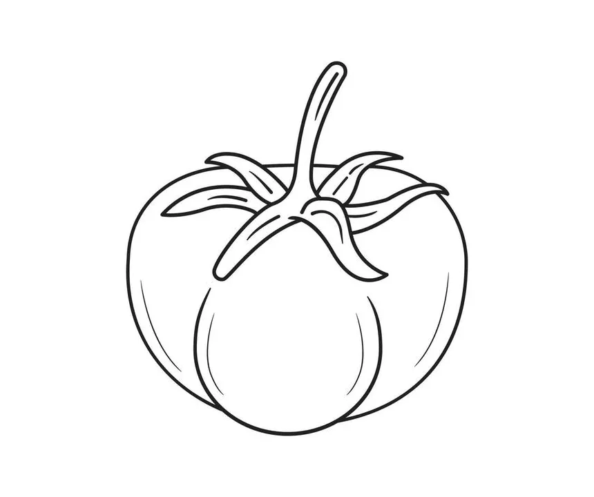 Tomato coloring page vector art, icons, and graphics for