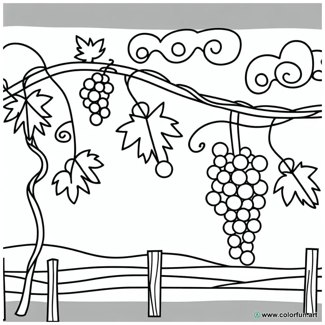 Coloring page of grapes in the vineyard download or print for free