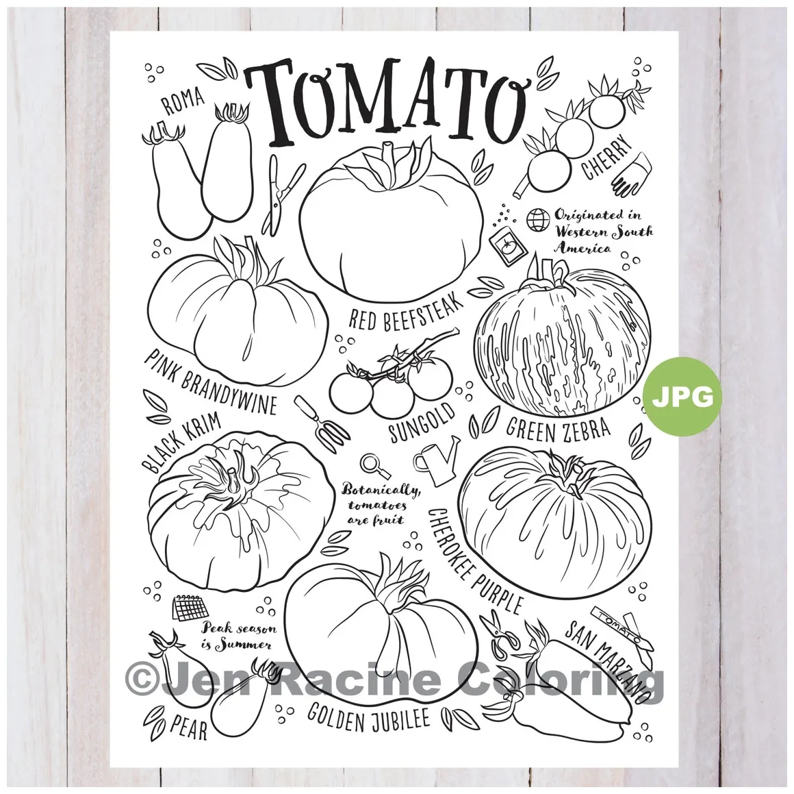 Tomato coloring page vegetable coloring page garden etsy