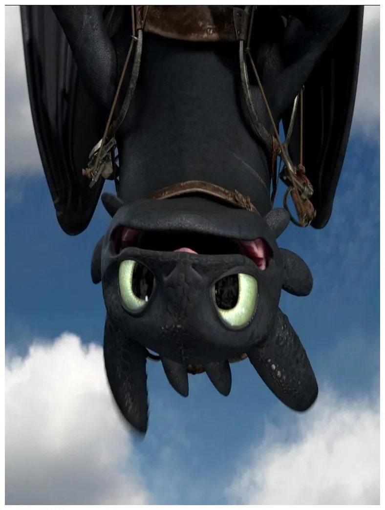 Toothless s top free toothless s access