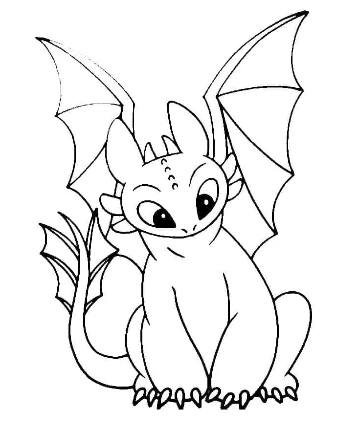 Night Fury Toothless coloring page - Download, Print or Color Online