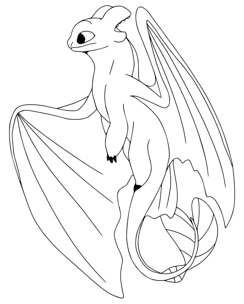 Night Fury Dragon Toothless coloring page - Download, Print or Color