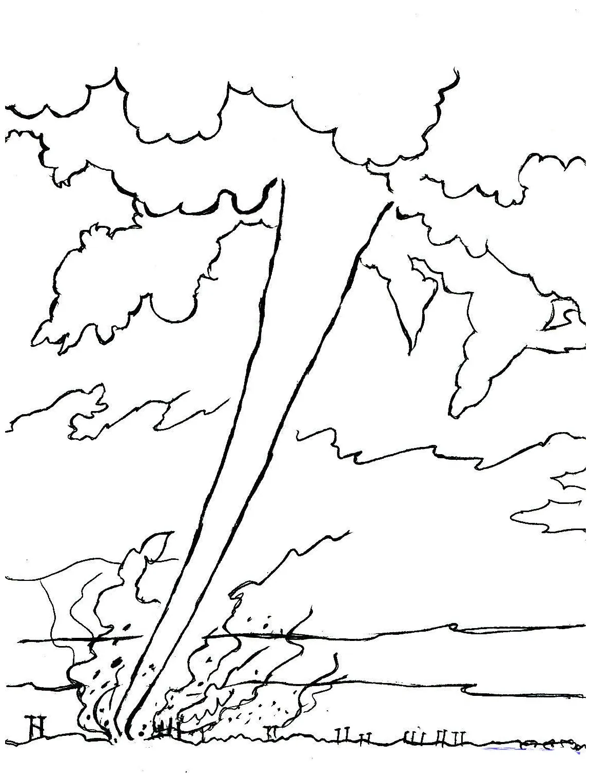 S to download and print for free