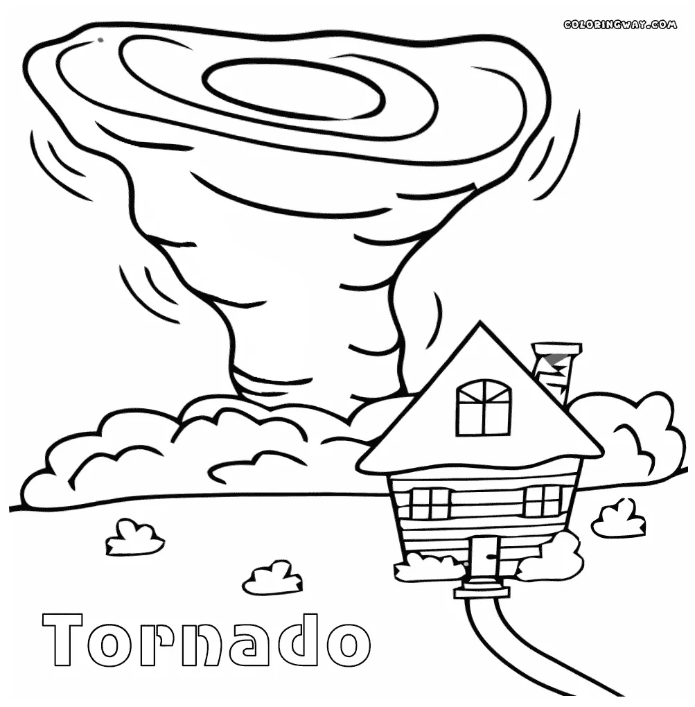 S to download and print for free