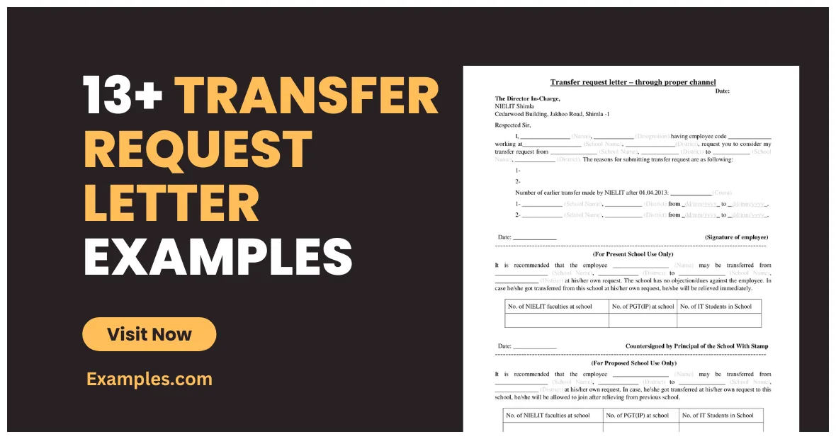 13+ examples, format, word, pages, pdf