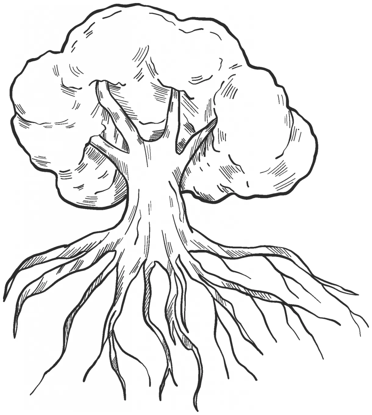 Tree with roots coloring page colouringpages