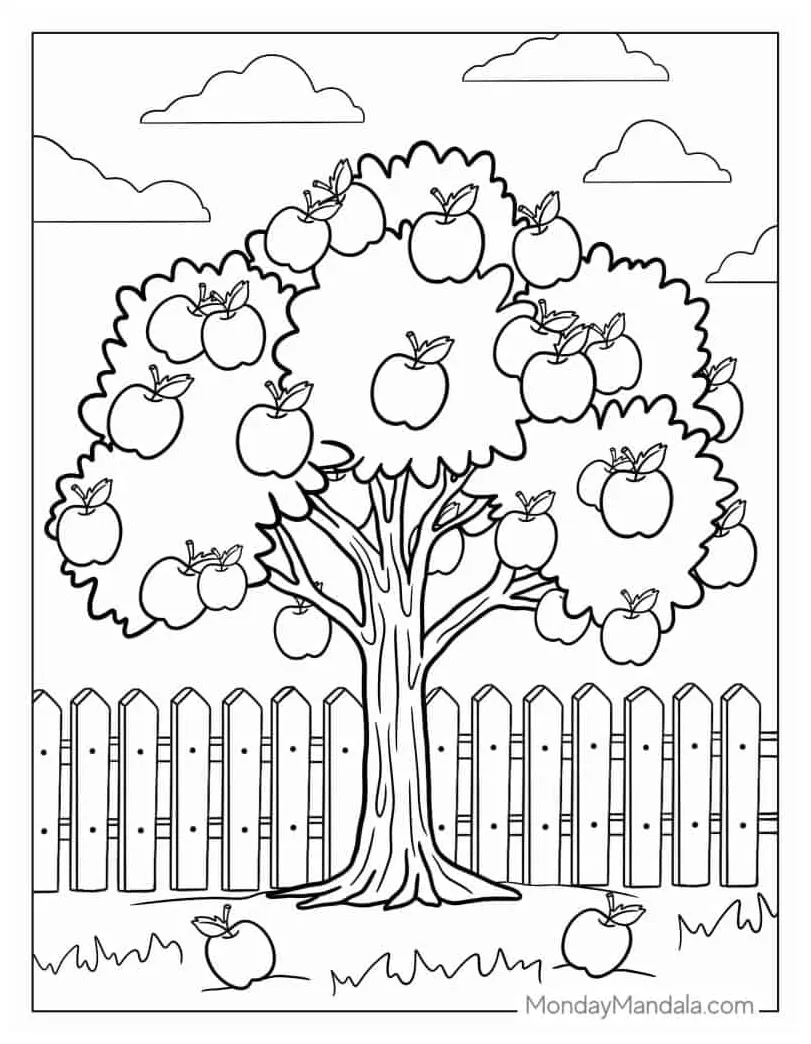 Coloring page apple tree with root system and fruits stock