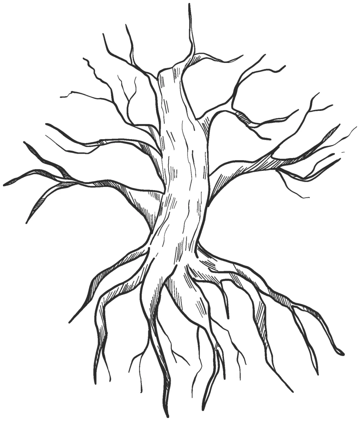 Dried-up tree with roots coloring page colouringpages