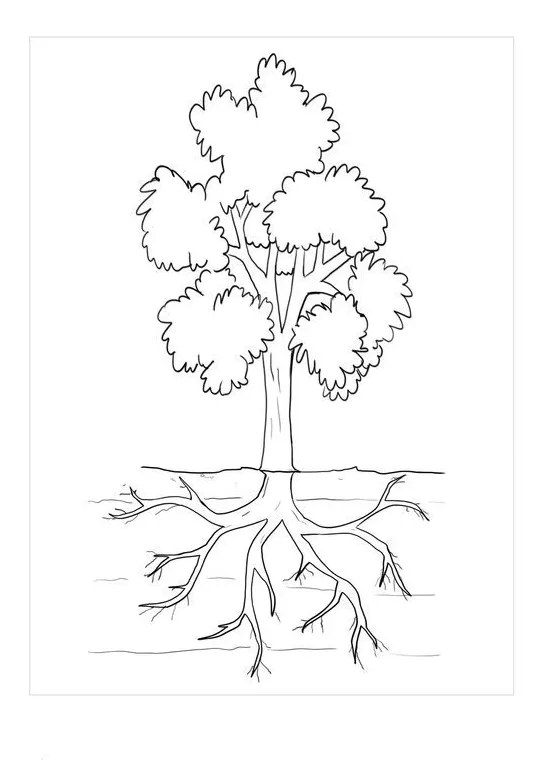 A tree with roots by water coloring pages & book for kids