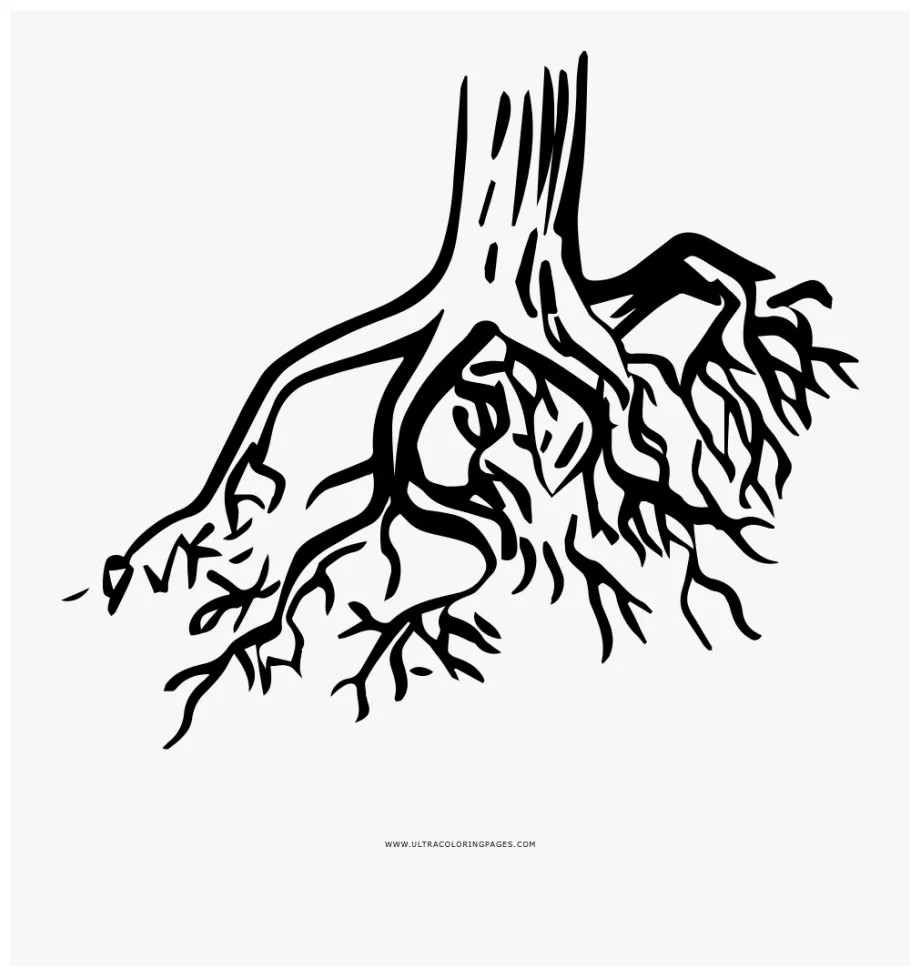 Tree roots coloring page tree root icon transparent , free