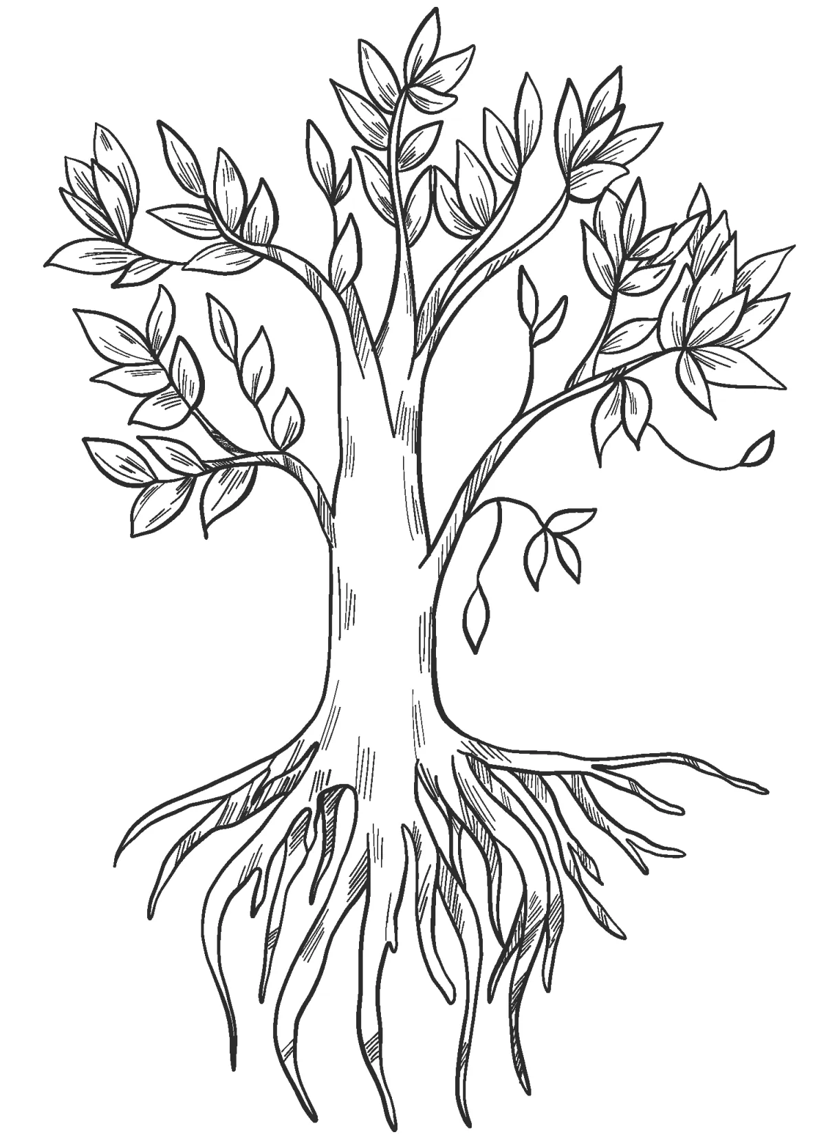 Tree with roots coloring page colouringpages