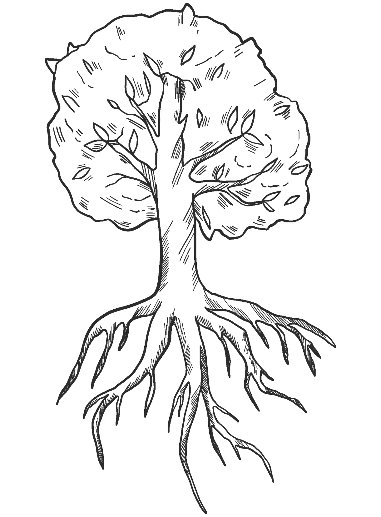 Tree with roots coloring page colouringpages