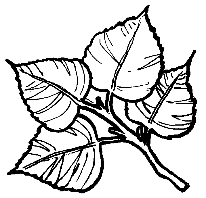 Tree leaves coloring pages free printable templates printable coloring page
