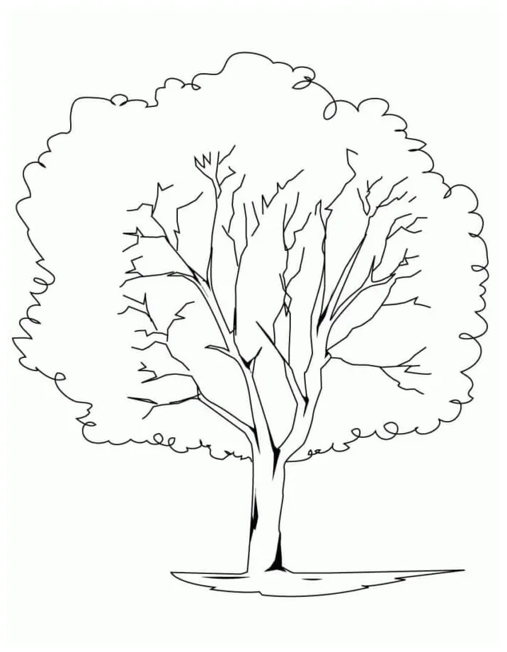 A tree with many leaves coloring page download, print or color online