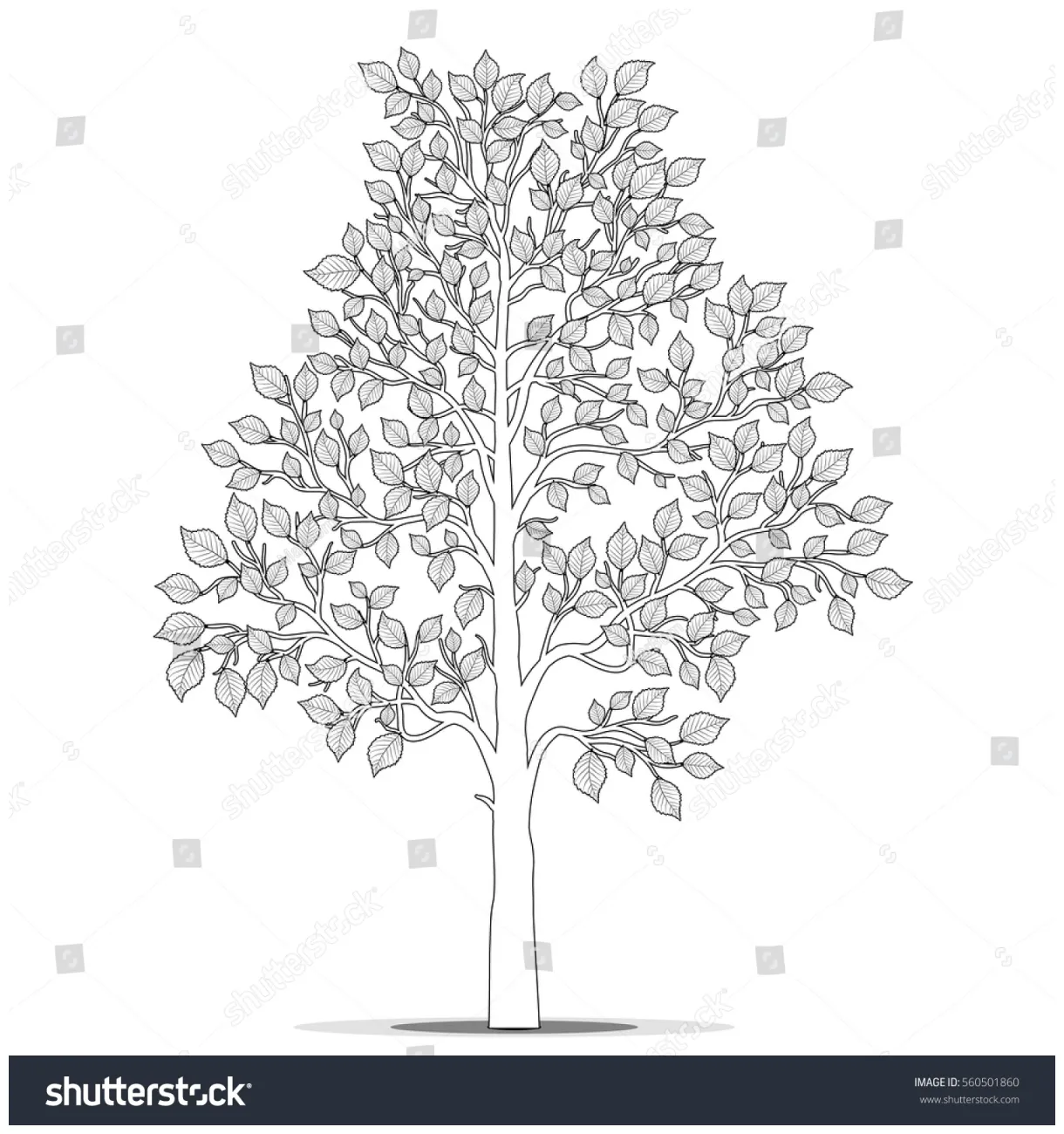 Tree leaves coloring book page vector stock vector