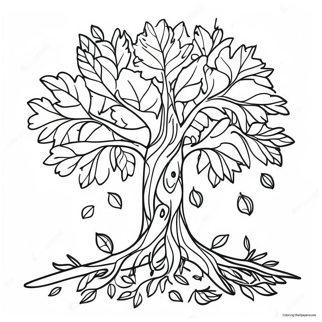 Colorful fall 41714-32971