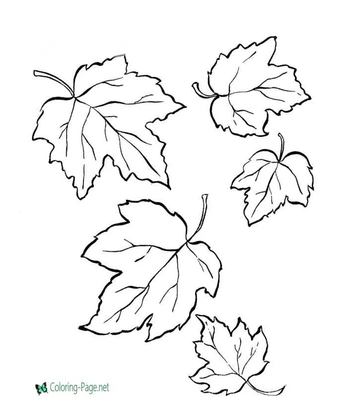 Tree leaves coloring pages