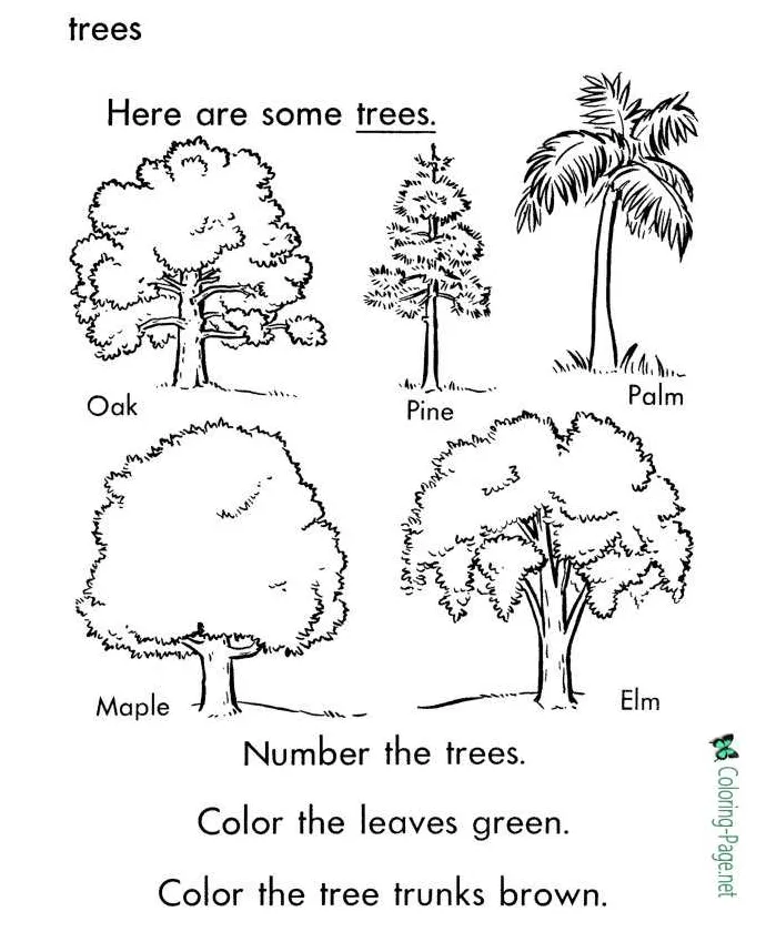 Tree leaves coloring pages