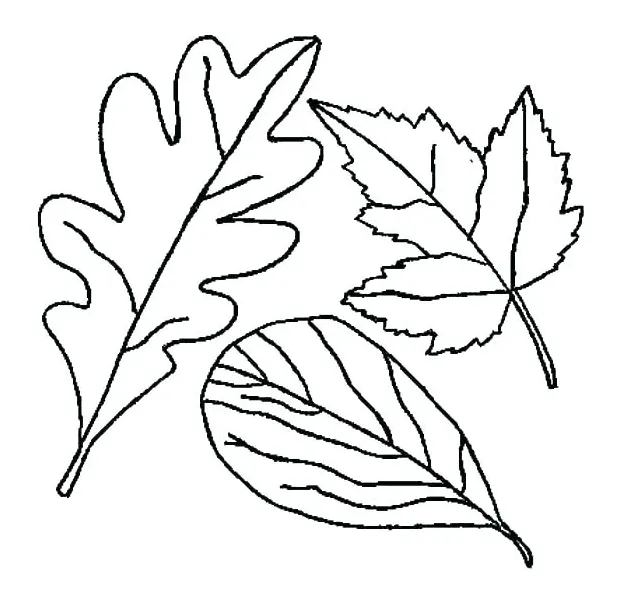 Tree leaves coloring pages at getcolorings free printable