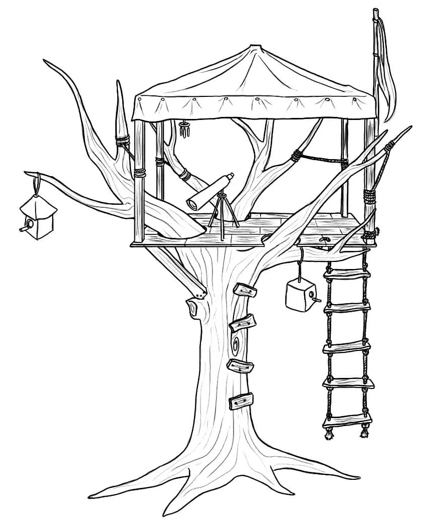 Fantastic treehouse