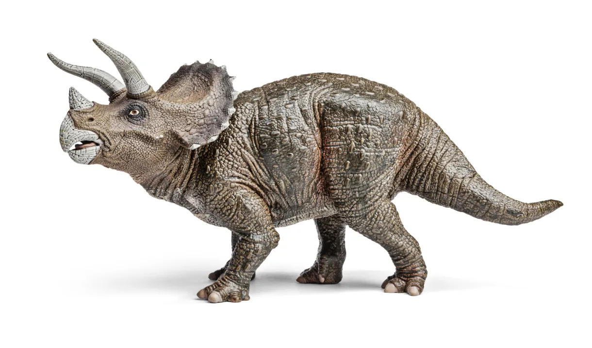 Tricerátops espécies de dinossauros infoescola printable coloring page