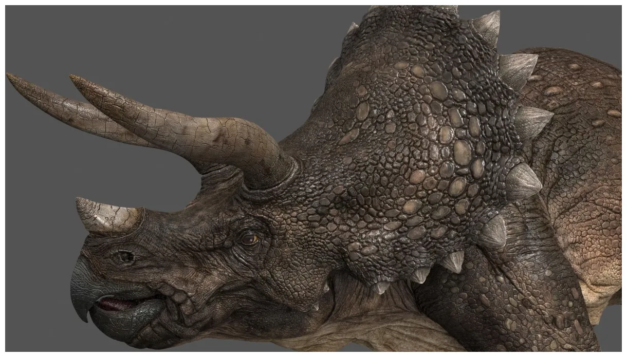 Triceratops la bestia de tres cuernos