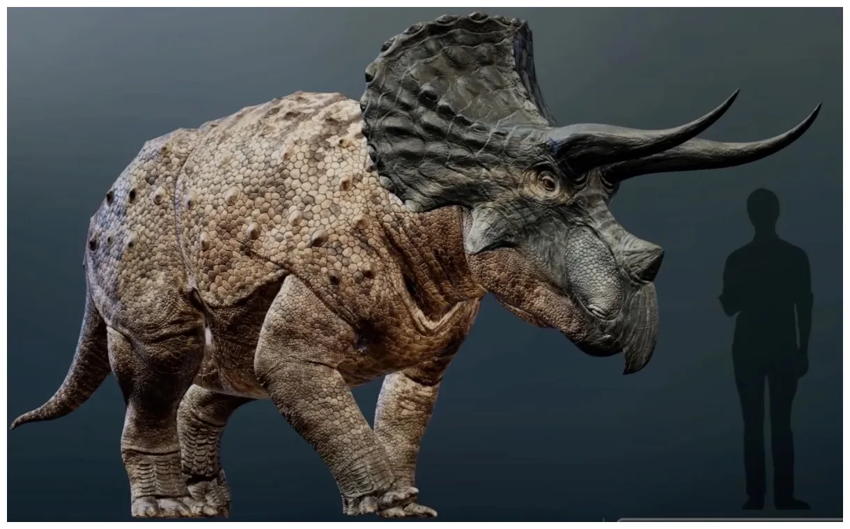 40 interessante fakten über triceratops ᐈ millionenfakten