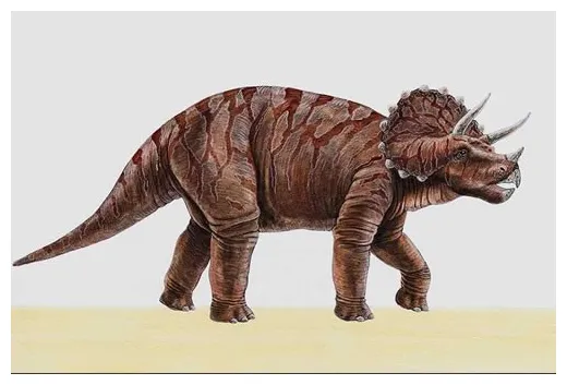 Triceratops pictures & facts the dinosaur database