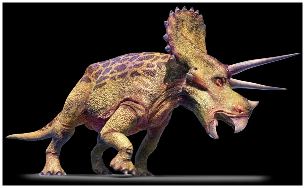 Triceratops triceratops facts dk find out