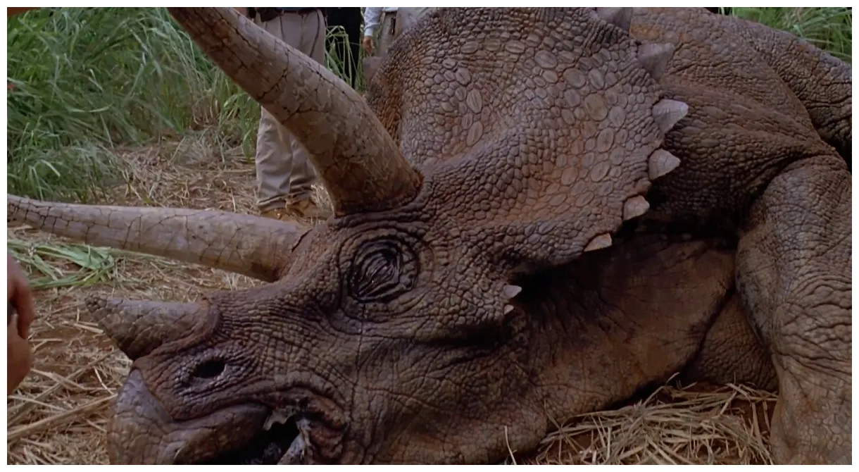 Triceratops jurassic park, the lost world, jurassic park 3