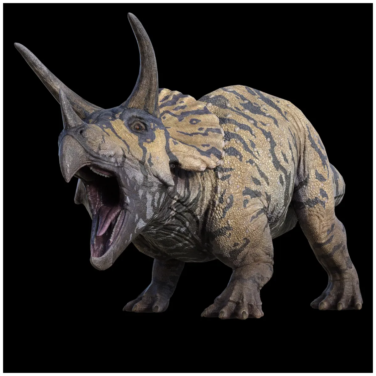 100+ free tricératops & triceratops s pixabay