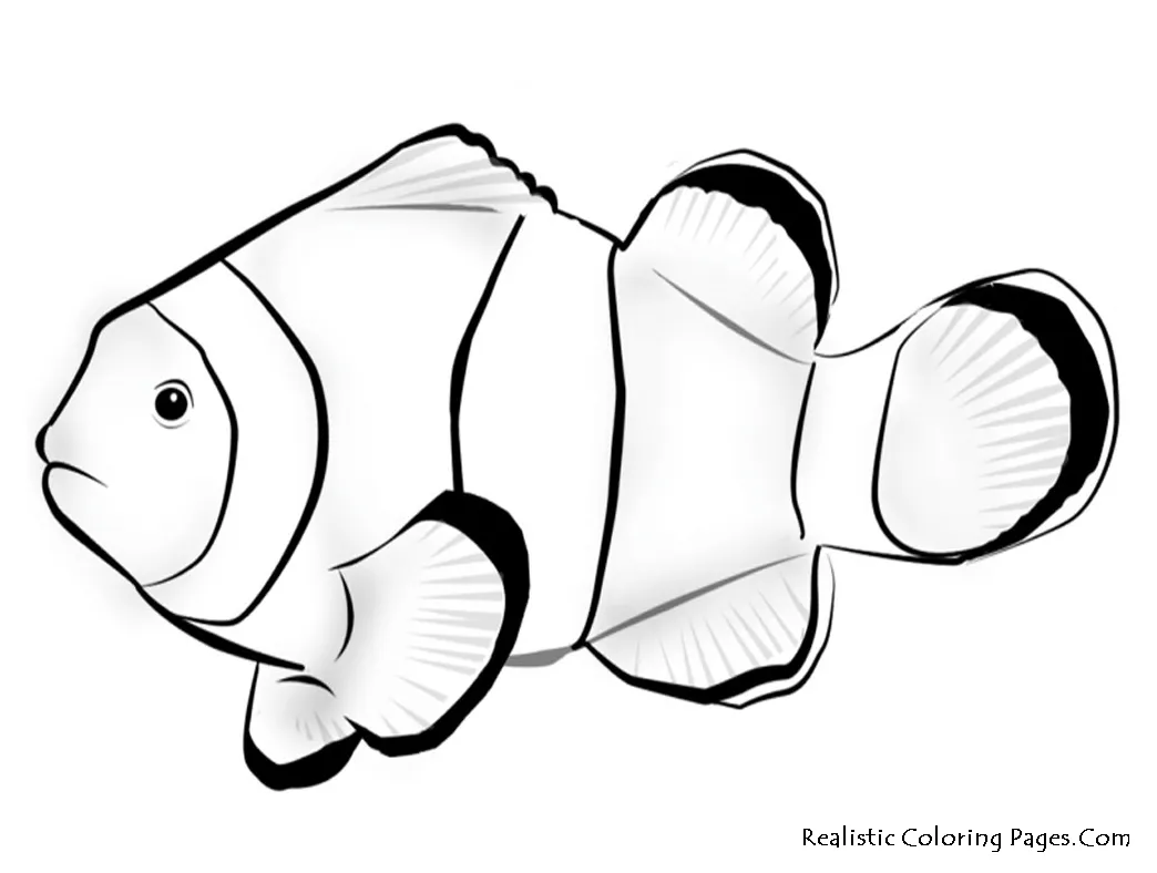 Tropical Fish Coloring Pages | Free download on ClipArtMag