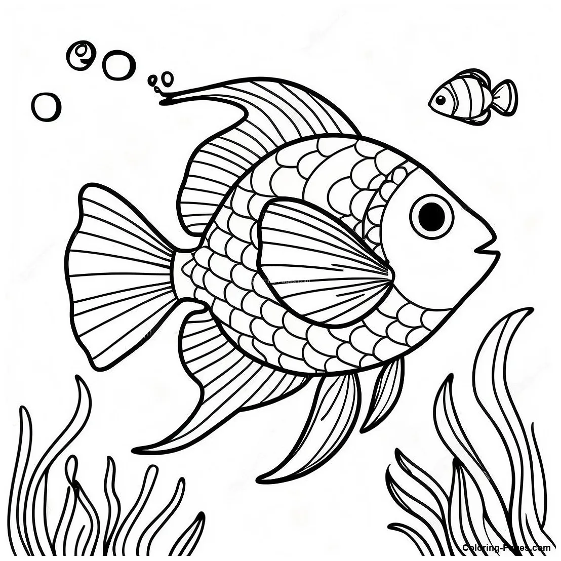 Colorful coloring-pages