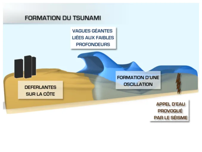 Tsunami dans le Pacifique : explications - Actualités La Chaîne Météo