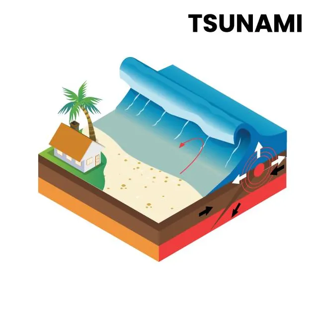 100+ tsunami diagram stock illustrations, royalty-free vector graphics