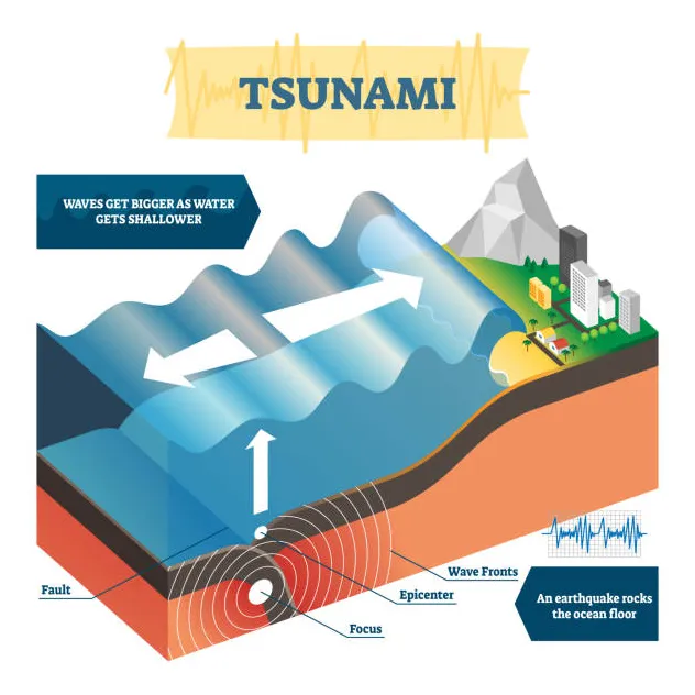 Tsunami Wave Diagram How Tsunamis Work
