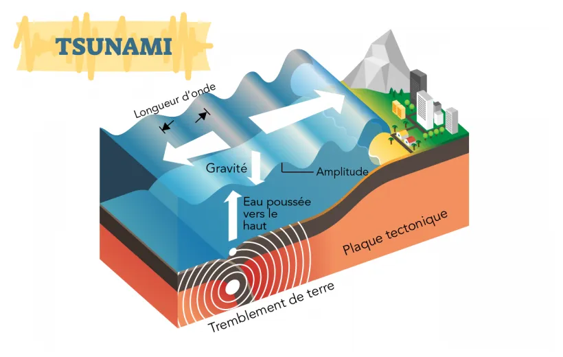 Vagues, marées et tsunamis - Parlons sciences