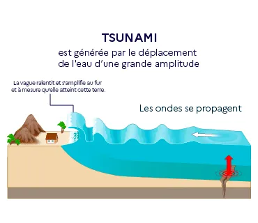 Prévention du risque Tsunami - Prévention des risques - Sécurité