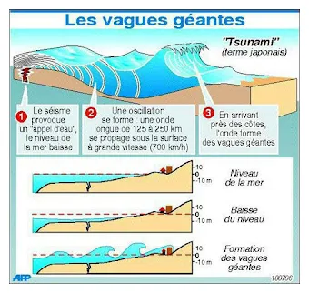 A la découverte des tsunamis