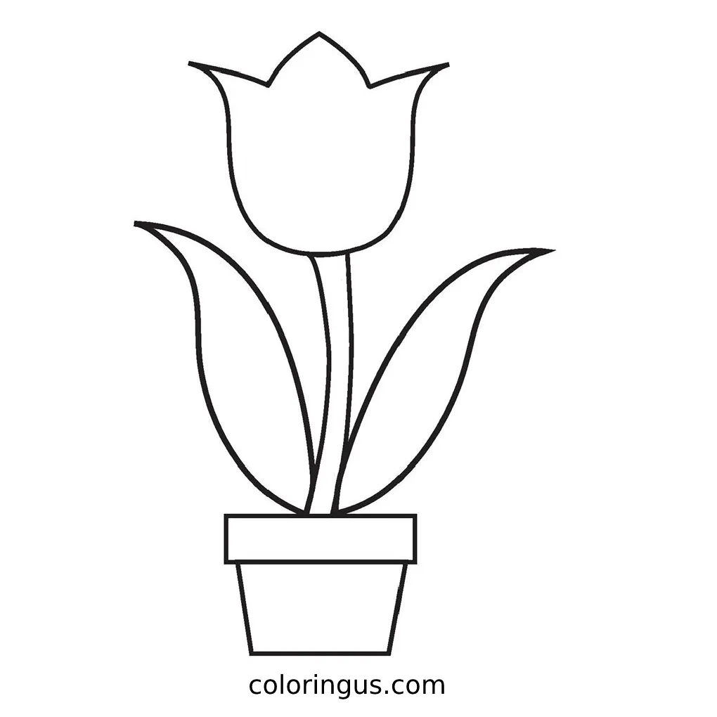 S free printable pdf