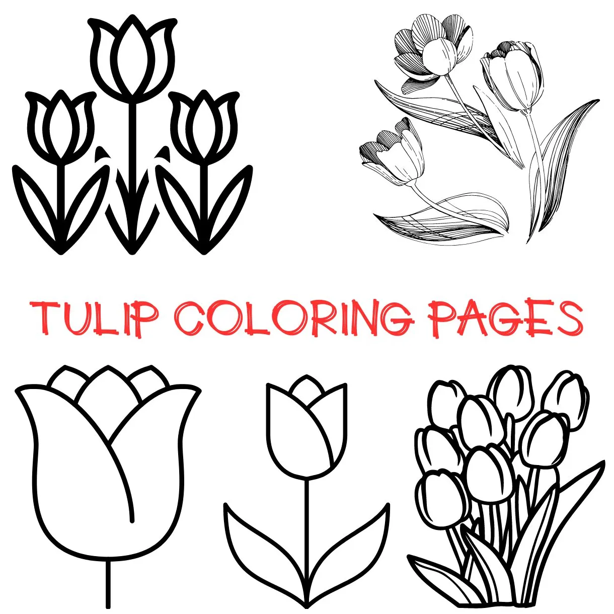 Free s to celebrate spring