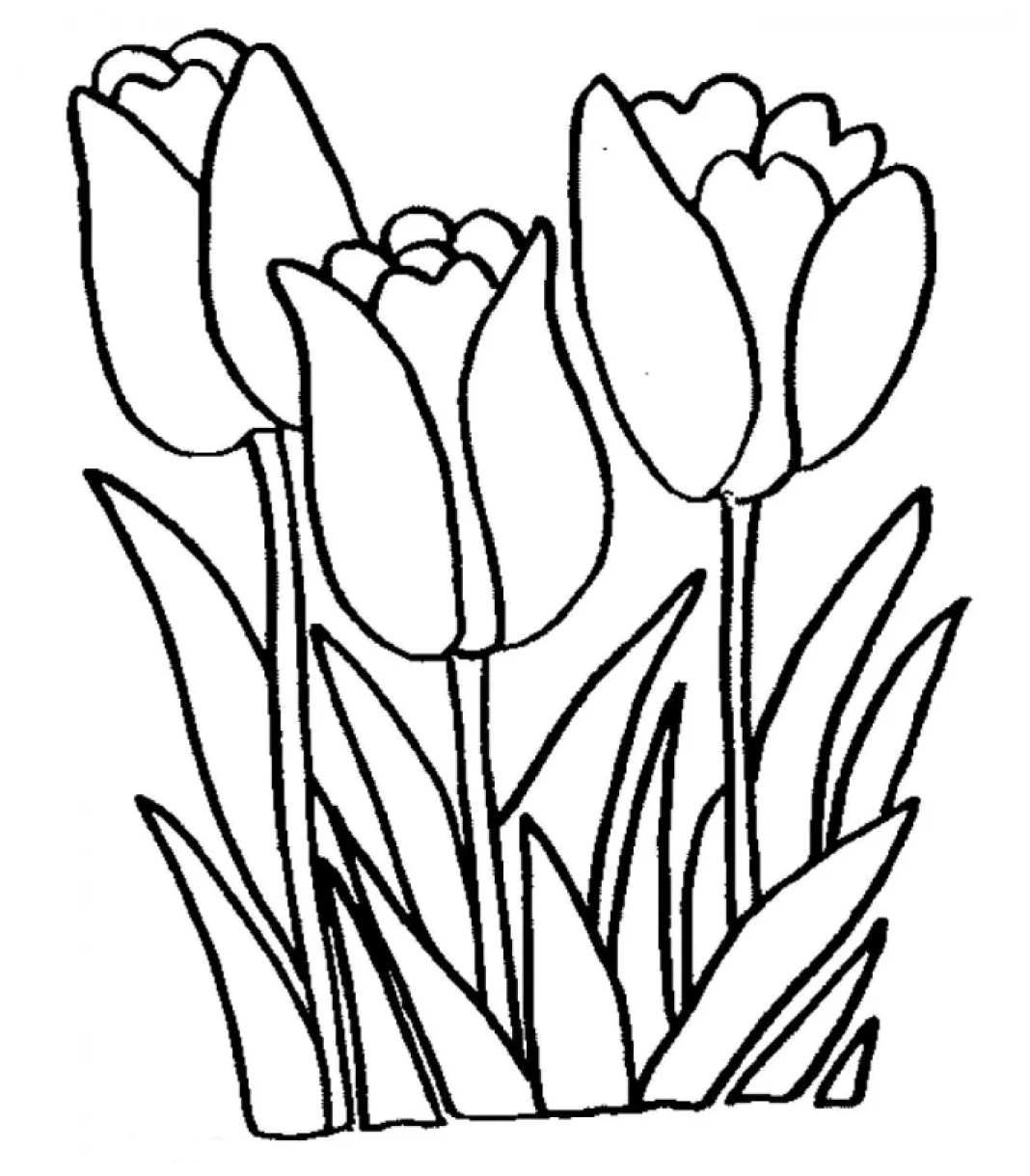 S to download and print for free