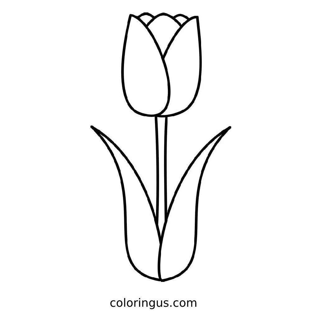 S free printable pdf