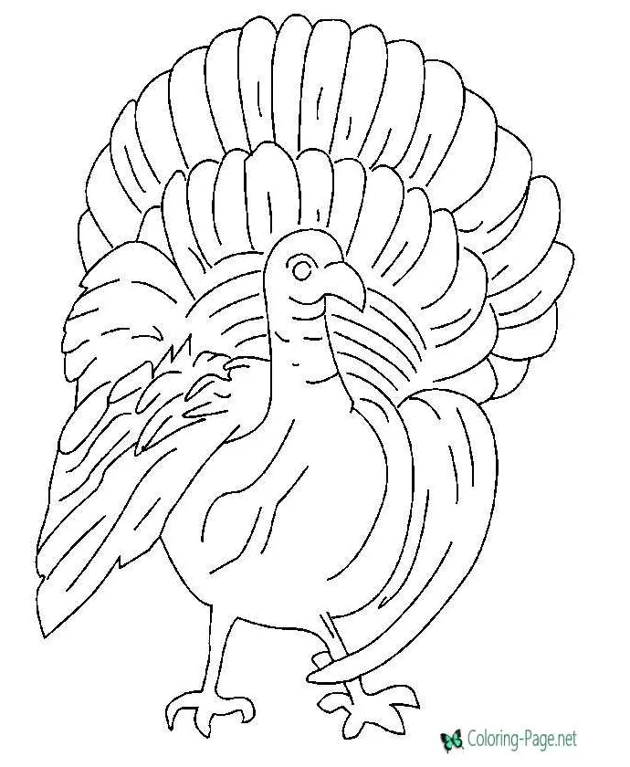Turkey Coloring Pages