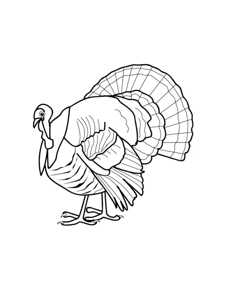 Turkey coloring page