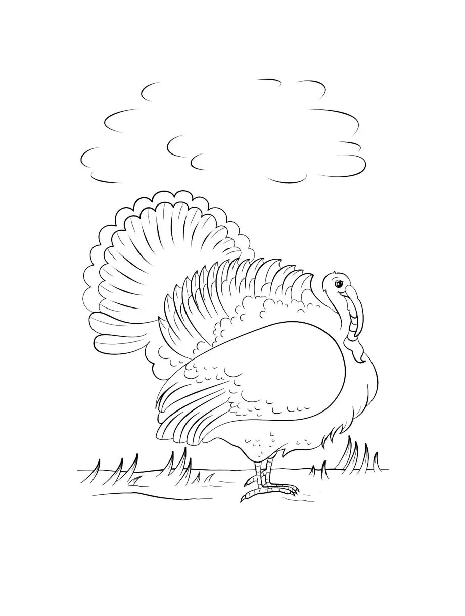 Turkey coloring page