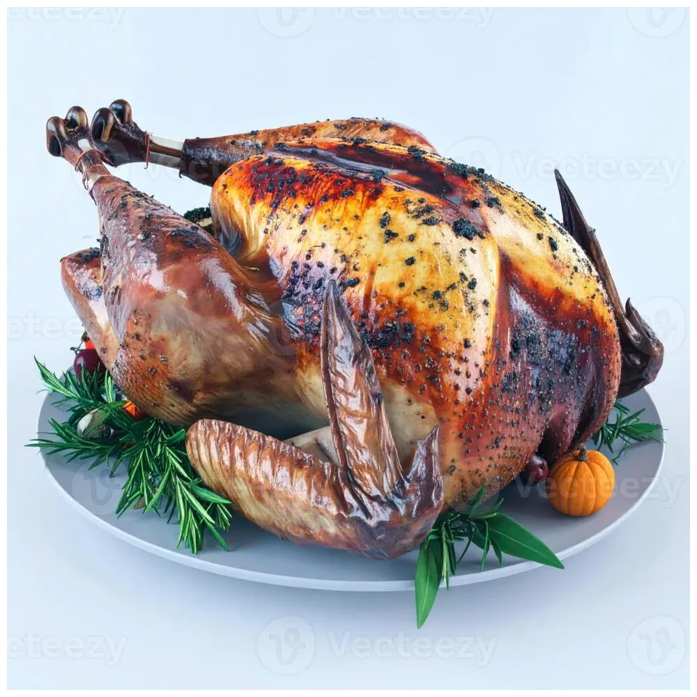 Turkey coloring page s, s and s for